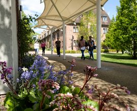 students walking through campus in the sun